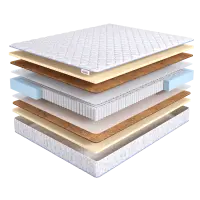 Natural Medium PS1000