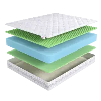 Rehab Roll Winter Big